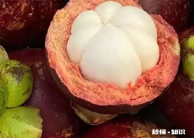 山竹放久了表皮会变硬还是腐烂 山竹表皮很硬