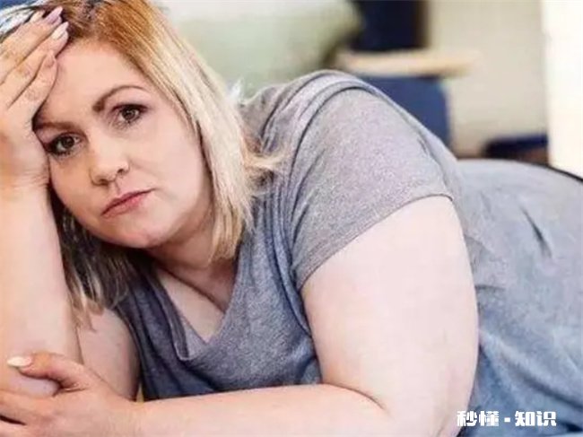 一个粽子的热量需要走多久的路 一个普通粽子的热量