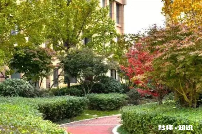 小区绿化带可以种花吗 小区绿化带可以种花吗北方