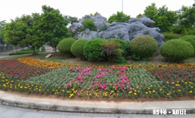 小区绿化带可以种花吗 小区绿化带可以种花吗北方