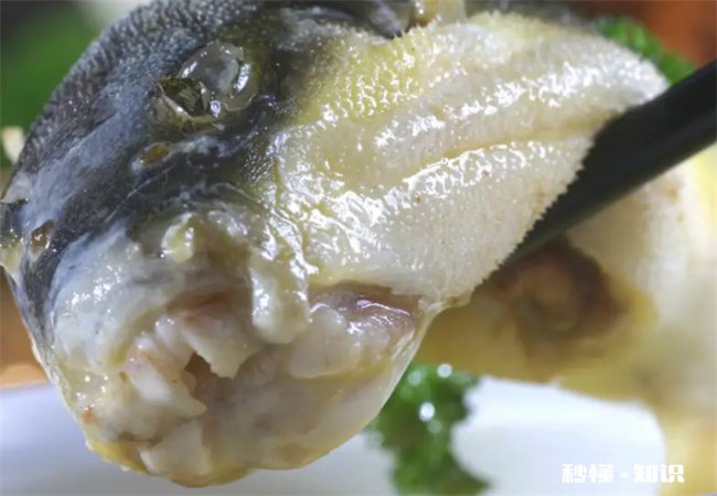 吃河豚后几个小时安全 吃河豚几个小时后安全72小时后安全吗