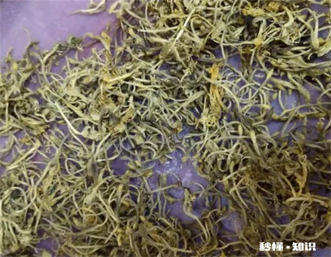 金银花蒸黑了还能喝吗 金银花煮水后变黑