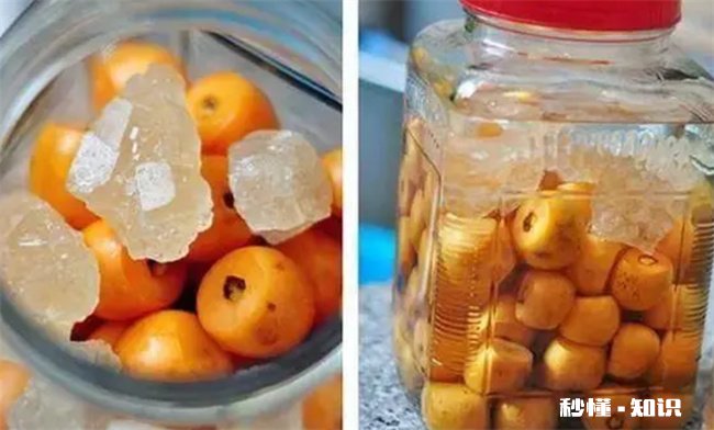 枇杷泡酒用什么酒好 枇杷泡酒用什么酒好呢