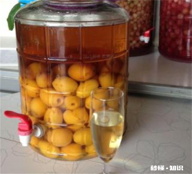 枇杷泡酒用什么酒好 枇杷泡酒用什么酒好呢