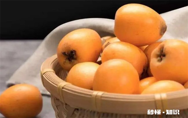 枇杷放冰箱会变酸吗 枇杷是放冰箱好还是不放冰箱好