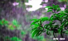 夏至下雨的话夏天会凉快吗 夏至这天下雨意味着夏天不热吗