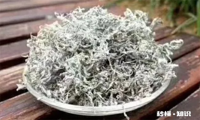 莓茶放了很长时间了能喝吗 莓茶放了很长时间了能喝吗百度