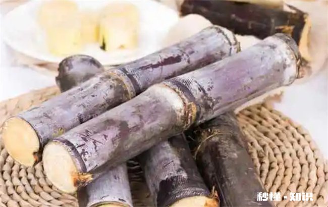 甘庶能够过夜吃吗 甘庶吃多了会怎么样