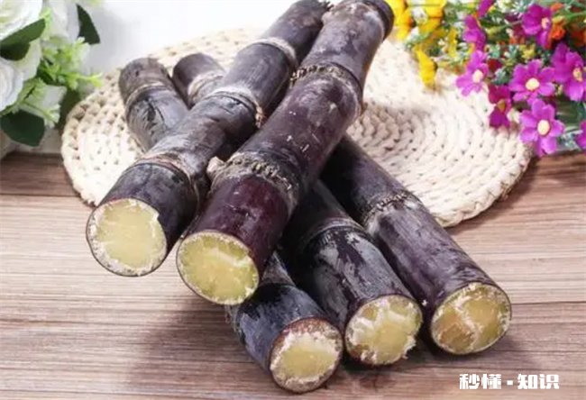 甘庶能够过夜吃吗 甘庶吃多了会怎么样