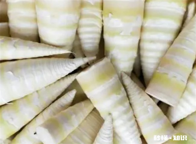 竹笋哪类人不能吃 哪种竹笋不能吃