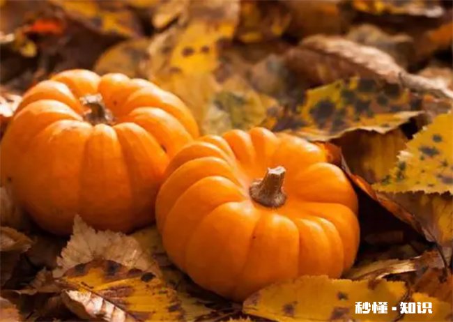 碱性食物有哪些备孕生男孩 酸性食物有哪些备孕生男孩