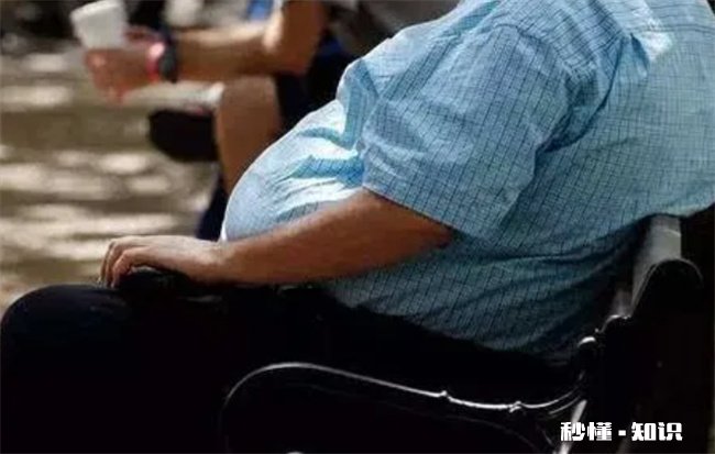 饮食规律对健康有多重要 每天最健康的生活规律和饮食