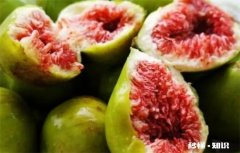 哪些人不能吃无花果 无花果哪些地方不能吃