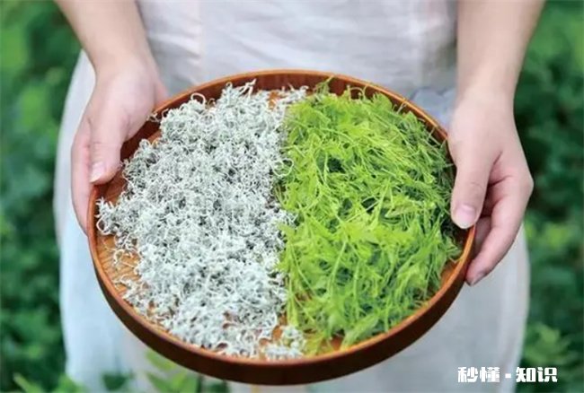 莓茶怎么保存比较好 绿茶茶怎么保存比较好