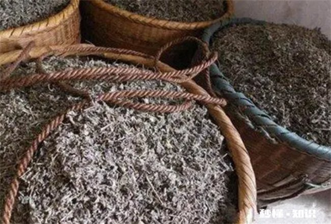 莓茶怎么保存比较好 绿茶茶怎么保存比较好