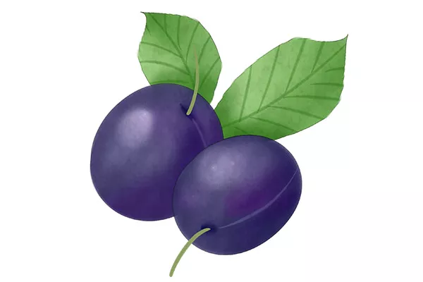 虾不能和什么水果一起吃 与虾不能同食的食物