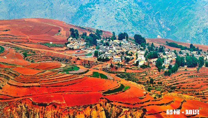 霜降吃什么传统物 霜降吃什么传统点心