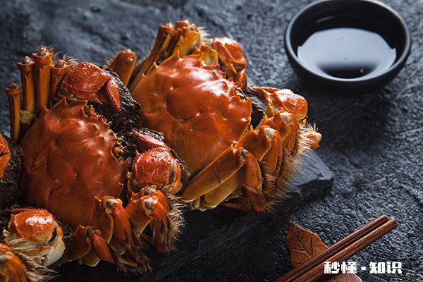 玉米不能和什么一起吃 吃玉米的禁忌