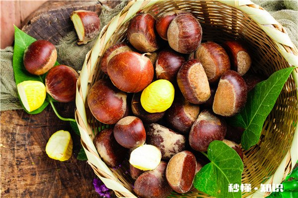 玉米不能和什么一起吃 吃玉米的禁忌