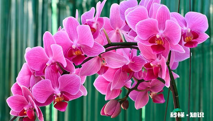 怎么区分昆虫和非昆虫 怎么区分昆虫和非昆虫的区别