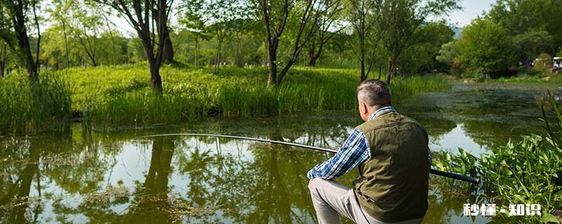 霜降的风俗习惯 霜降的风俗有哪些