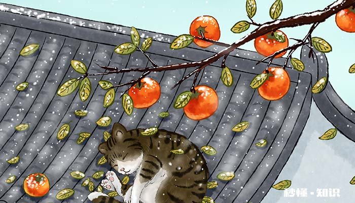 霜降时节小动物们的变化 霜降时节有哪些景色变化