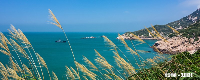 芦和苇是一种植物吗 跟芦苇很像的植物叫什么