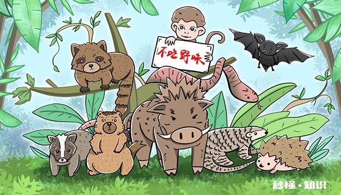 蝙蝠是一种小型兽类还是昆虫 蝙蝠是一种小型兽类还是昆虫类的动物