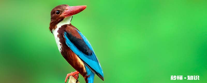 其它行星上的日落是什么颜色 日落时有什么颜色