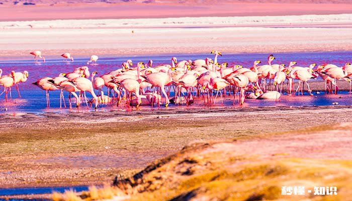 其它行星上的日落是什么颜色 日落时有什么颜色