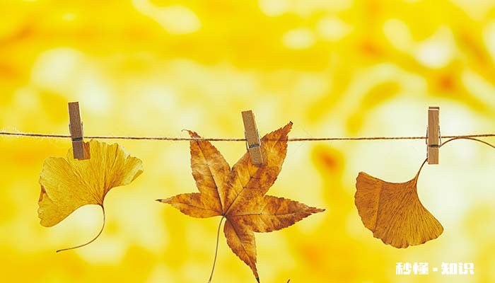 竹夹子发霉了该如何清洗 竹夹子怎么防霉