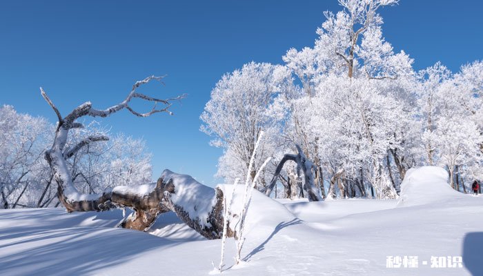 寒潮是一种天气吗 寒潮是一种什么样的天气现象