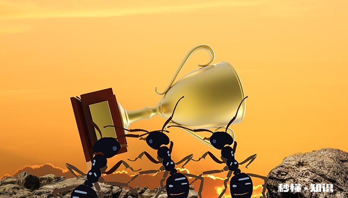 酒精喷在蚂蚁身上会怎样 酒精会吸引蚂蚁吗
