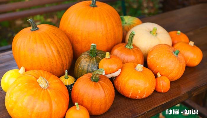 南瓜里面的须可以吃吗 南瓜花哪些部位不能吃