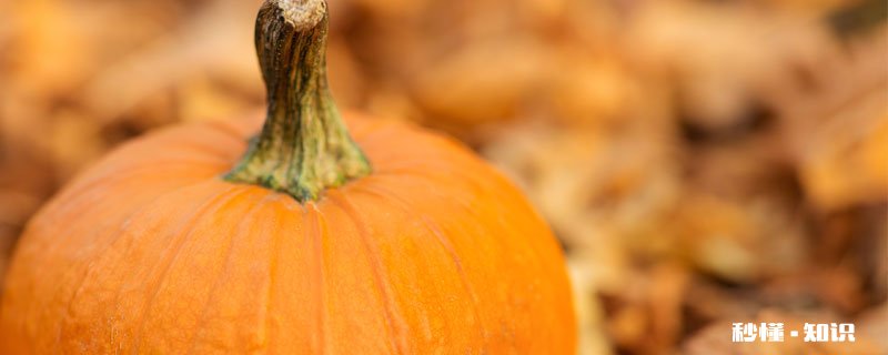 南瓜里面的须可以吃吗 南瓜花哪些部位不能吃