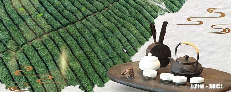 天山绿茶属于什么茶 什么茶属于绿茶