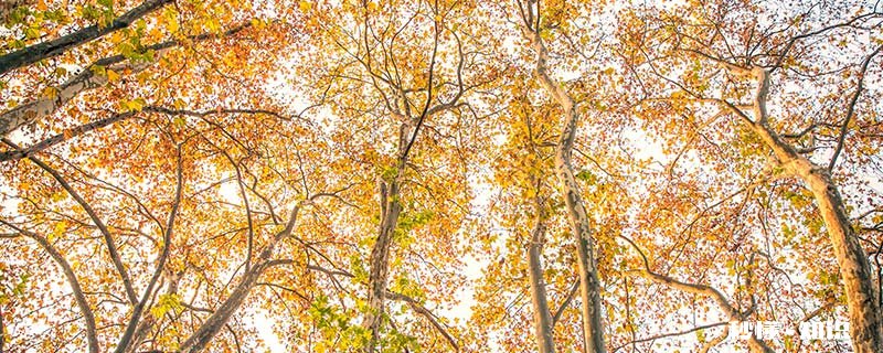 霜降会不会冷 霜降会不会下雨
