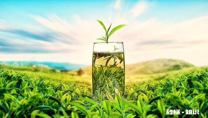 霜降开什么花 霜降节气有什么花