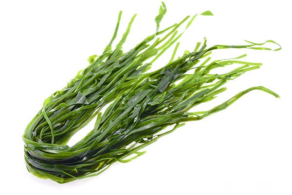 类风湿忌吃哪些食物 类风湿不能吃什么食物