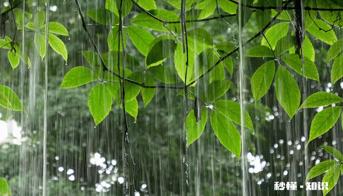 霜降打雷好不好 霜降下雨打雷有什么说法