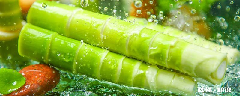 水竹笋又叫什么笋 煮过竹笋的水有什么用