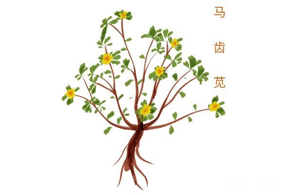 阑尾炎不能吃什么食物 阑尾炎的禁忌食物