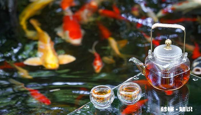 红碎茶有哪些品种 云南红碎茶有哪些品种