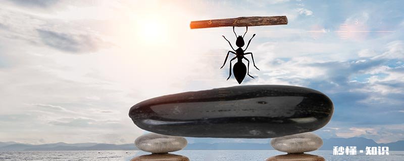 阿根廷蚂蚁的特点 阿根廷蚂蚁有毒吗