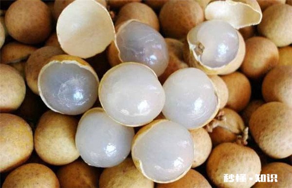 痛风绝对不能吃的东西 痛风不能吃什么食物