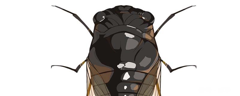 世界上有什么昆虫 世界上有什么昆虫最多