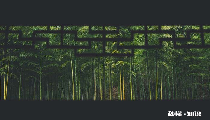 竹叶枕头的好处和坏处 喝竹叶水的好处与坏处