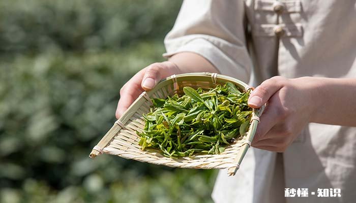 潮州泡茶的特色 潮州泡茶三个杯