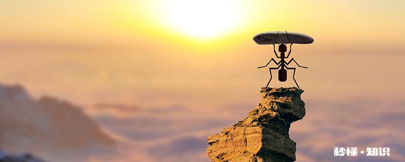 怎么除掉家里的蚂蚁 家有蚂蚁窝如何消灭