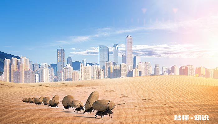 蚂蚁有几只脚 蜘蛛有几只脚